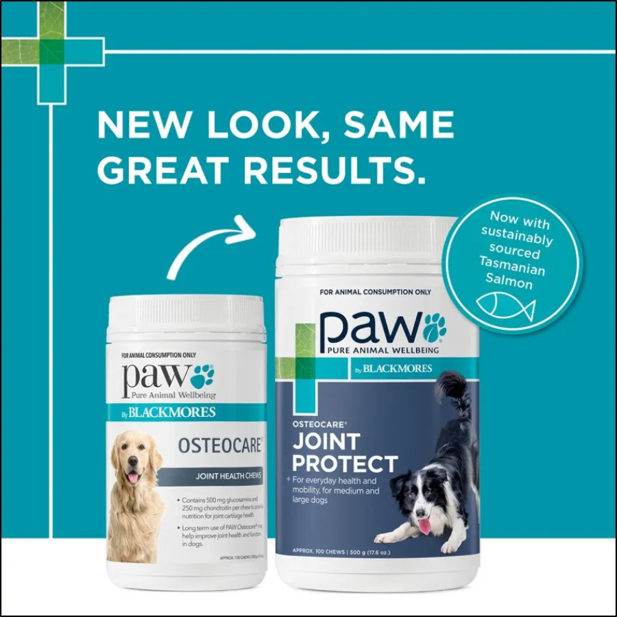 PAW Osteocare Joint Health Chews 500g