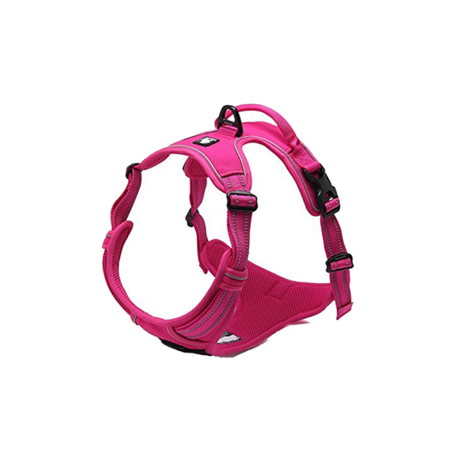 Deluxe Mesh Harness - Fuchsia S