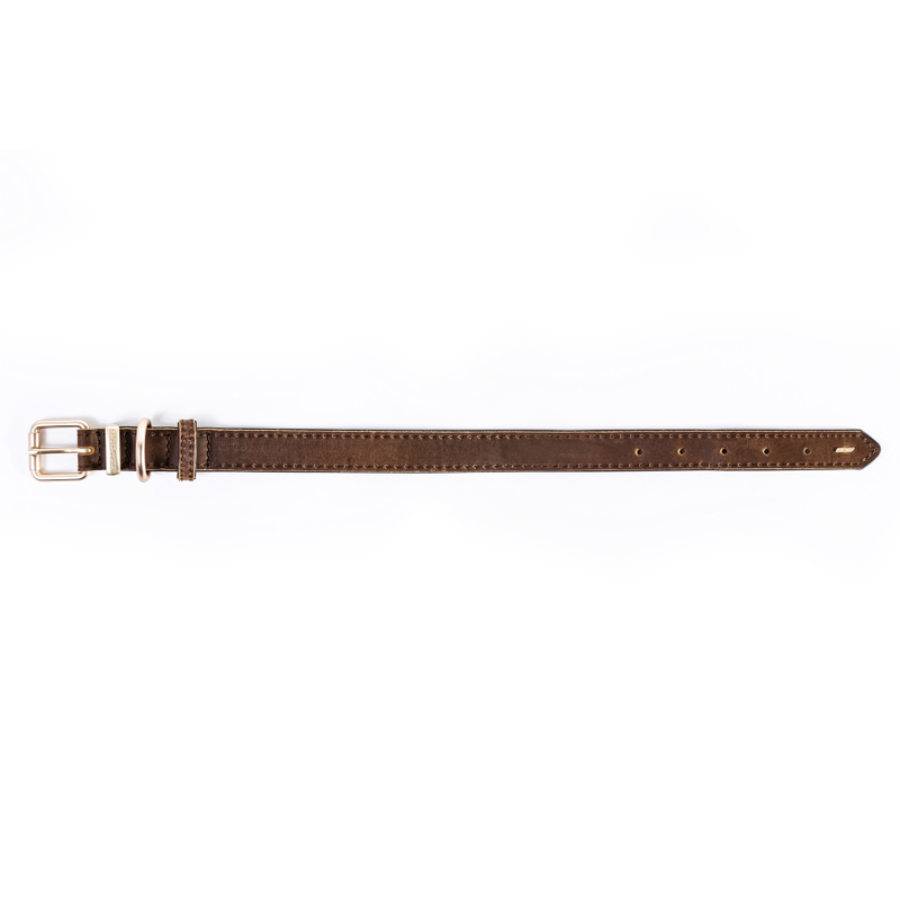 ED Oxford Collar - Brown L