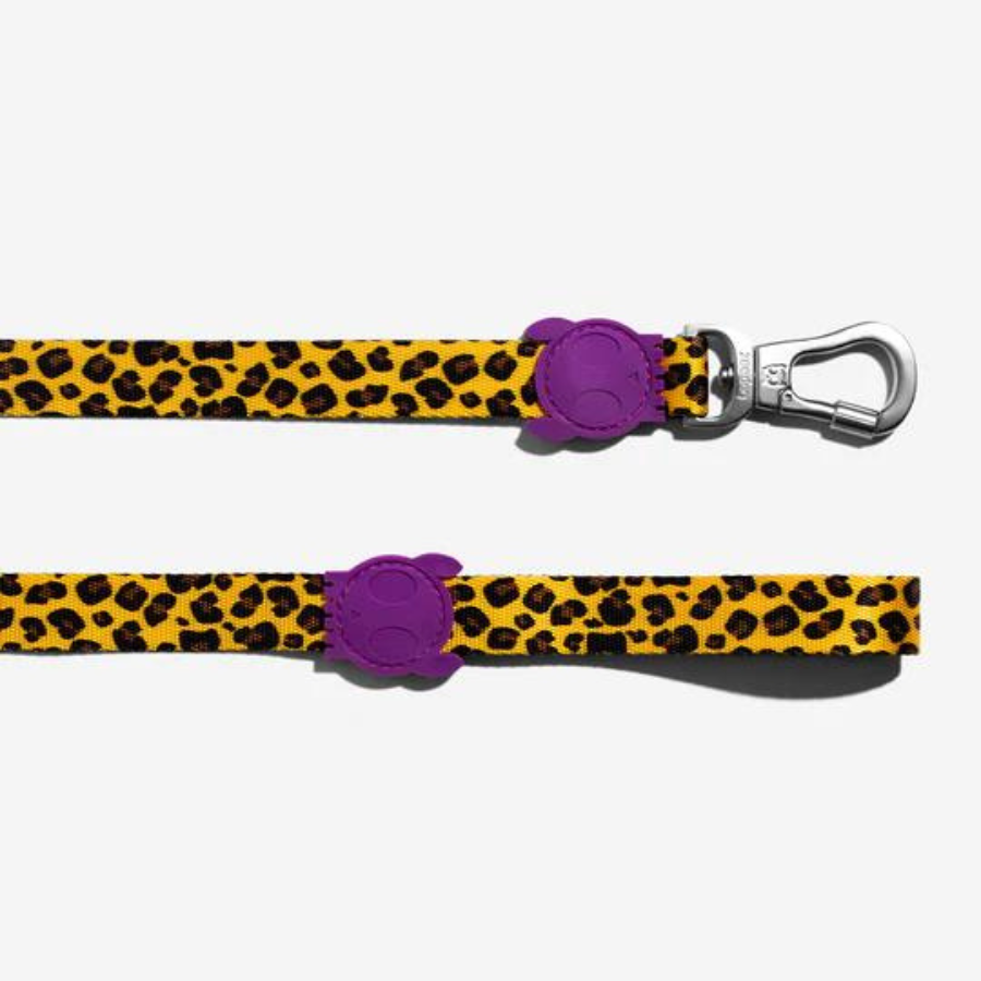 Zee.Dog Leash - Honey (Large)