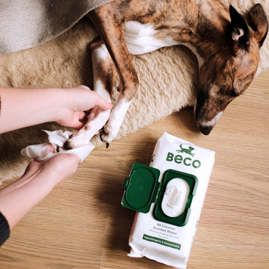 Beco Wipes Coconut Scented 80pk