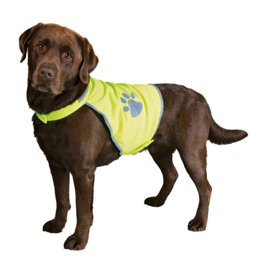 Reflective Safety Vest for Dogs - M