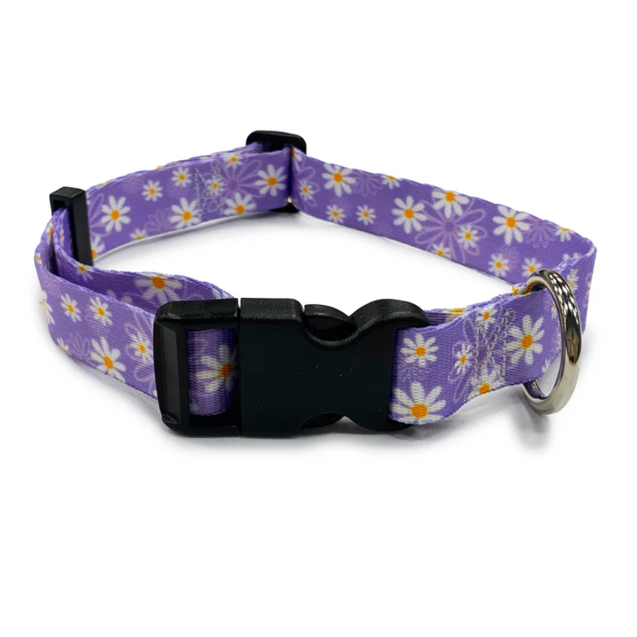Daisy Purple Collar -Sml 25-40cm