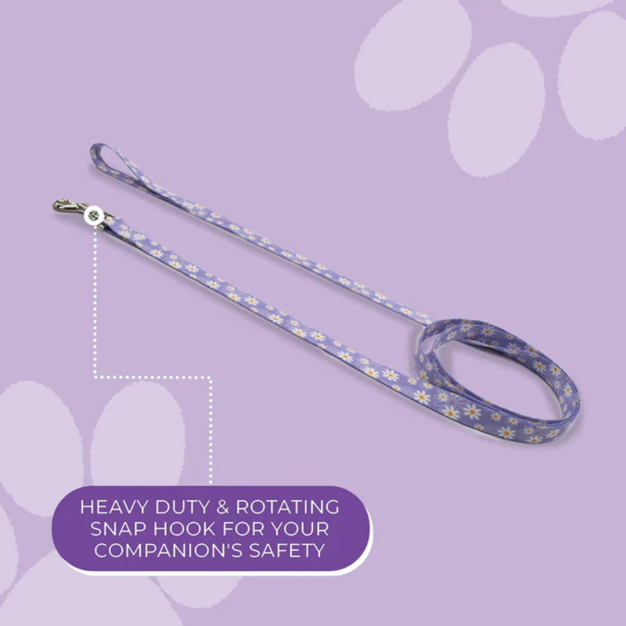 Daisy Purple Lead 183cm