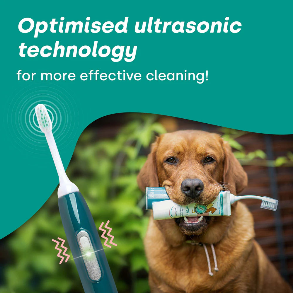 Emmi-Pet Ultrasonic Teeth Cleaning Service