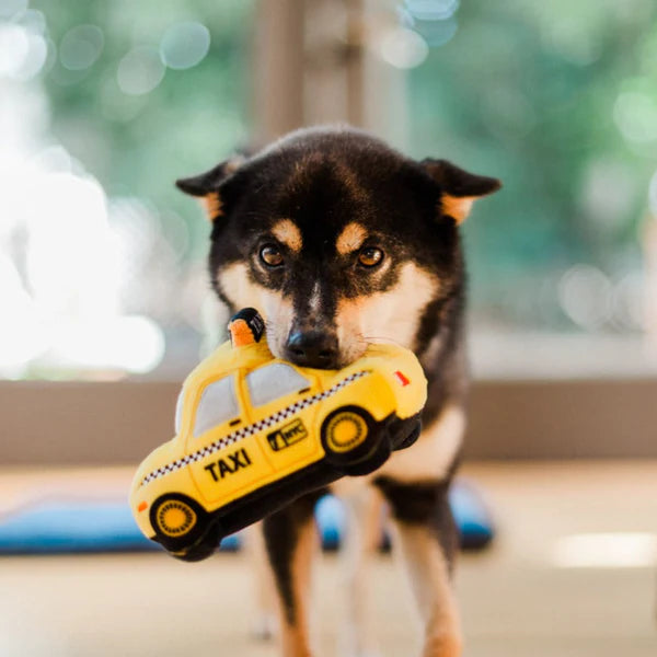 P.L.A.Y. CANINE COMMUTE COLLECTION - NEW YAP CITY TAXI