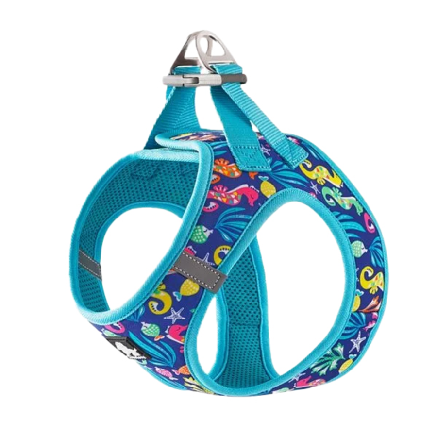 Fashion Mesh Harness - Blue Atoll L