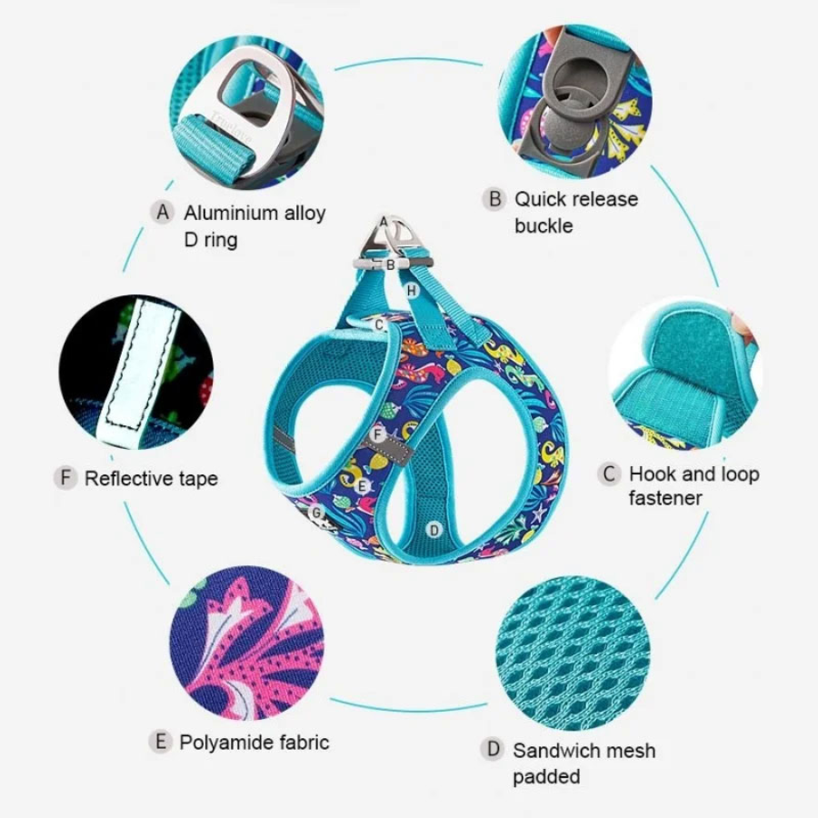 Fashion Mesh Harness - Blue Atoll L
