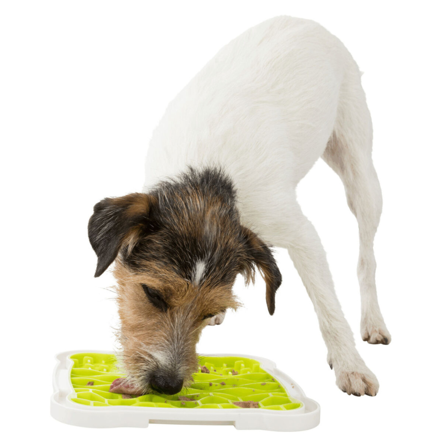 Lick'n' Snack Platter
