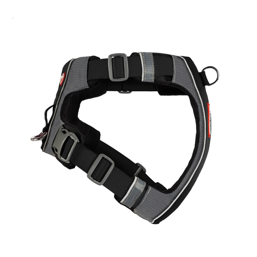 ED X-Link Harness - Black XL