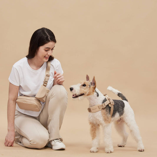 Rover Harness | Ultra Comfort Fabric: Sand / M