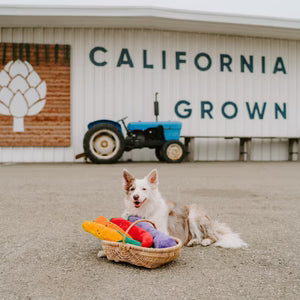 ZippyPaws Jigglerz - LARGE Mushroom