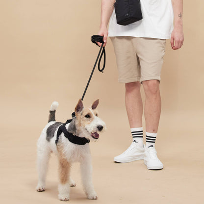 Rover Harness | Ultra Comfort Fabric: Black / S