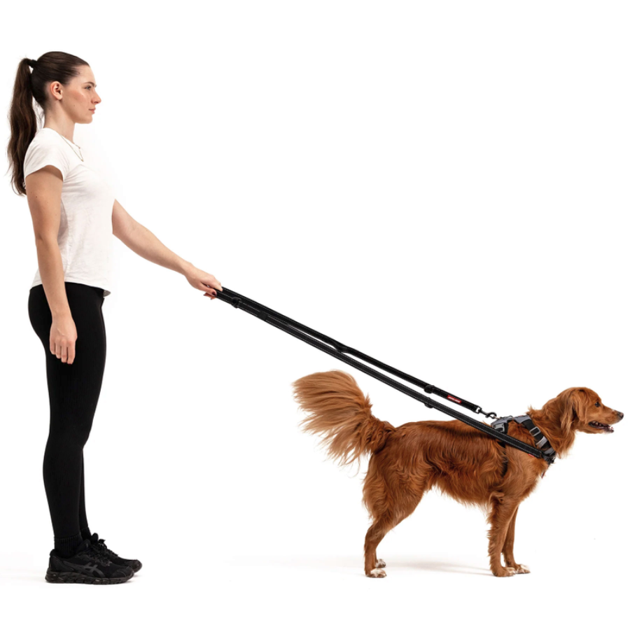 ED Vario 6 Leash - Blue S
