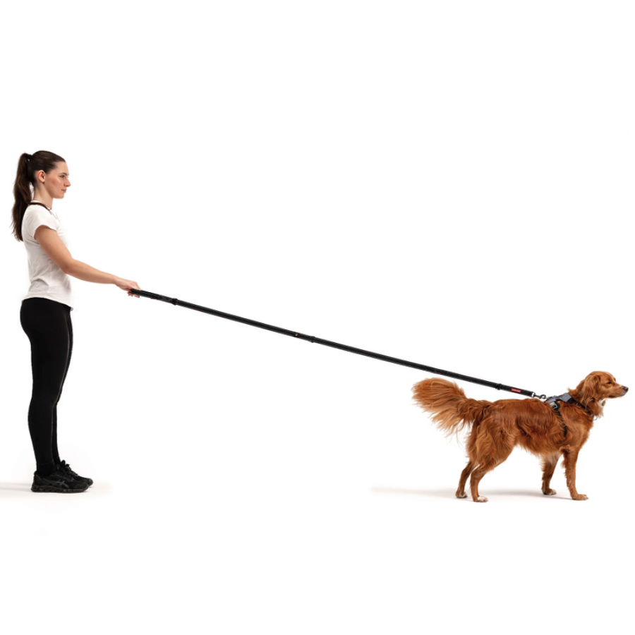 ED Vario 6 Leash - Blue S