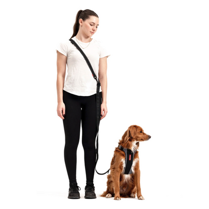ED Vario 6 Leash - Blue S
