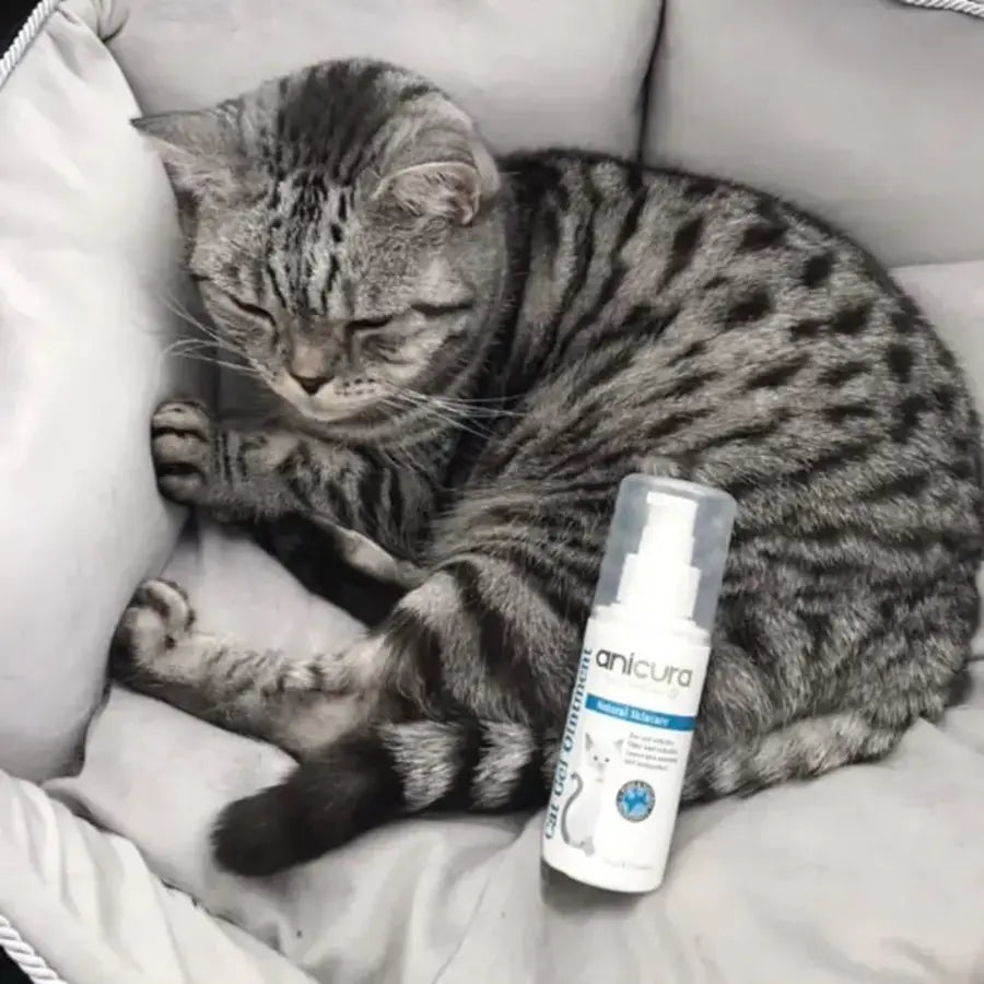 Anicura Cat Gel