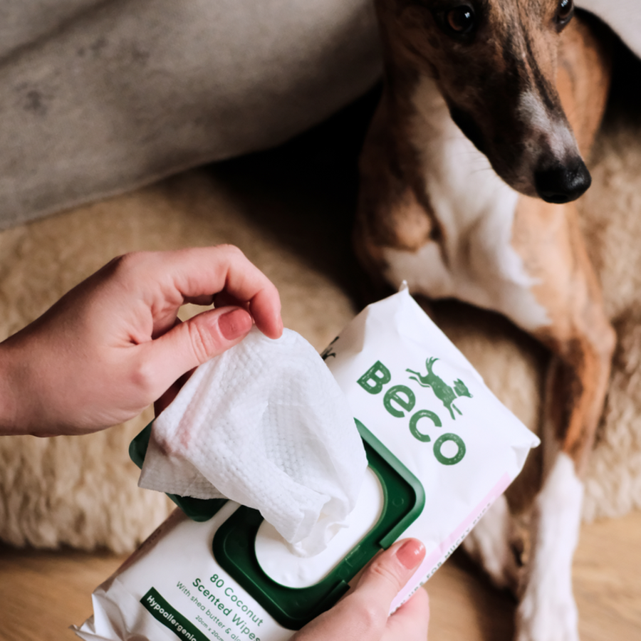 Beco Wipes Coconut Scented 80pk