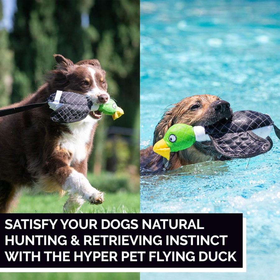 Flying Duck Green