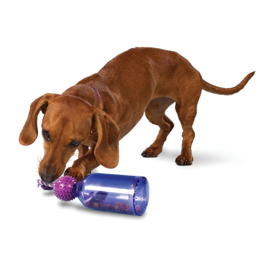 Busy Buddy Tug-a-Jug Slow Feeder