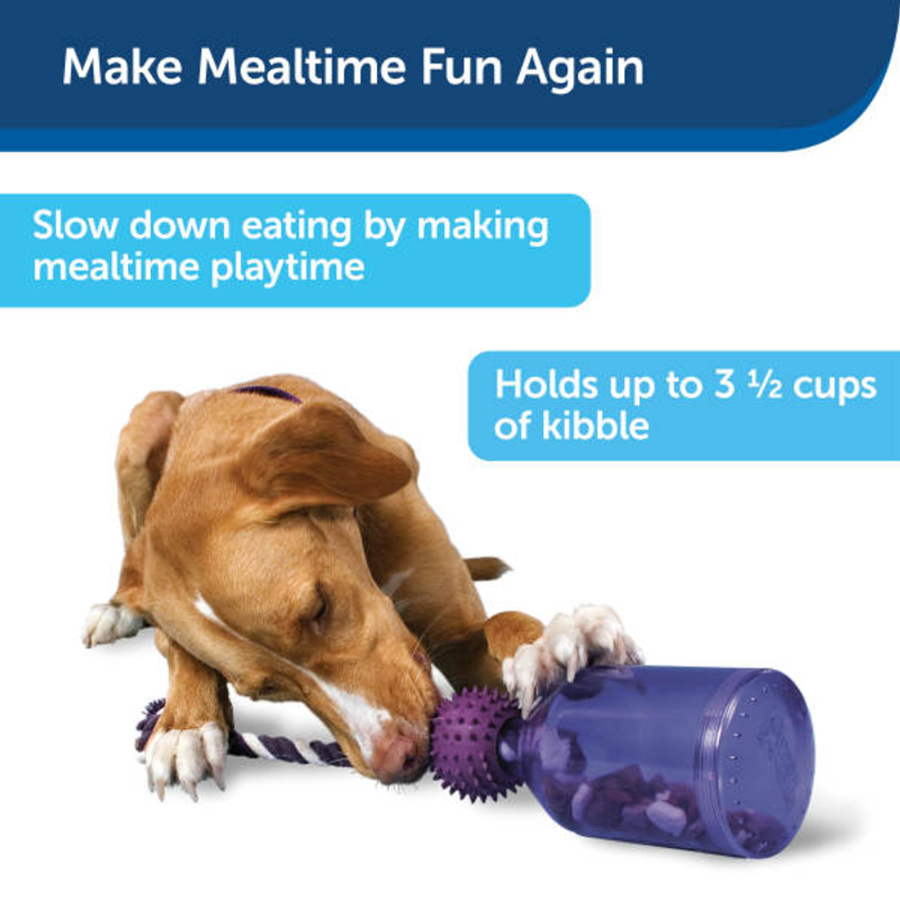 Busy Buddy Tug-a-Jug Slow Feeder