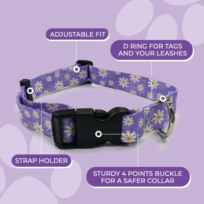 Daisy Purple Collar -Sml 25-40cm