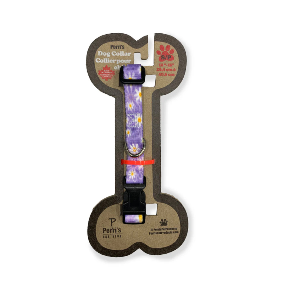 Daisy Purple Collar -Sml 25-40cm