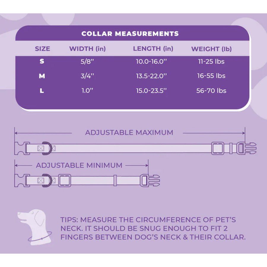 Daisy Purple Collar -Sml 25-40cm