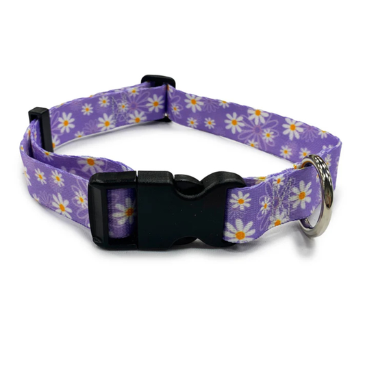Daisy Purple Collar -Sml 25-40cm