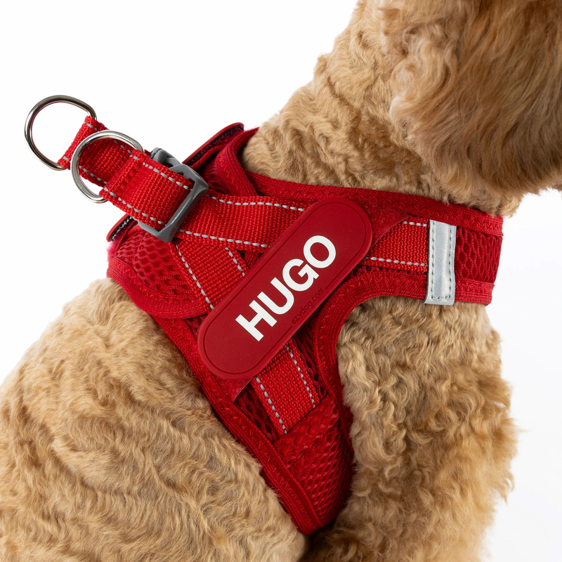 ED FormFit Mesh Harness