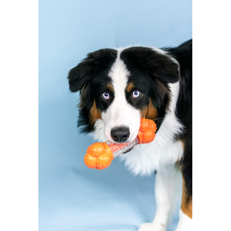 Strong Chew Sneaky Snacker Chew & Treat Toy - Giant