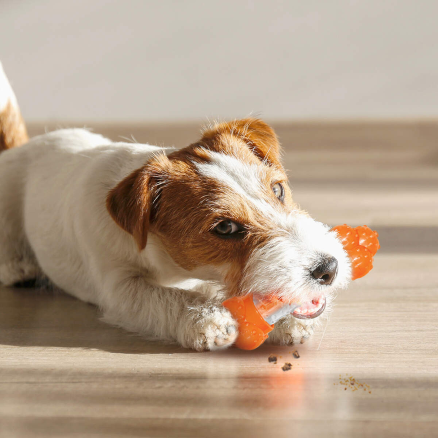 Strong Chew Sneaky Snacker Chew & Treat Toy - Wolf