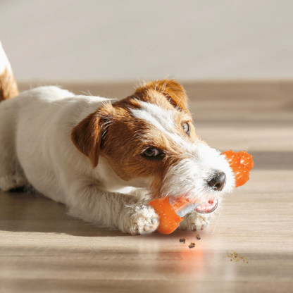 Strong Chew Sneaky Snacker Chew & Treat Toy - Wolf