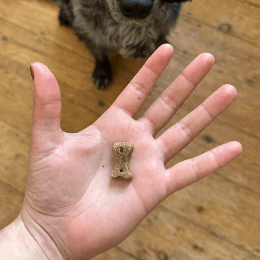 Beco Dog Treats Insect 70g