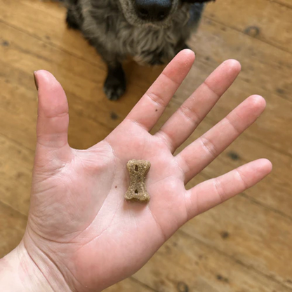 Beco Dog Treats Insect 70g