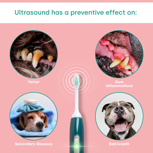 Emmi-Pet Ultrasonic Teeth Cleaning Service
