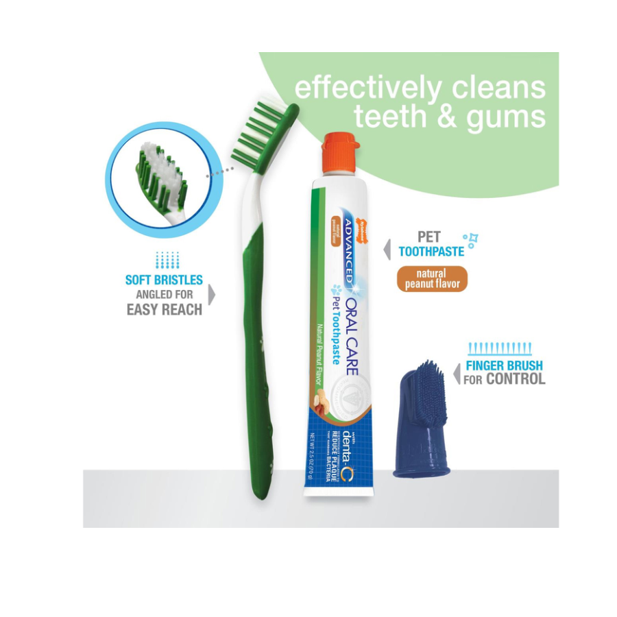Advanced Oral Care Natural Dental Kit