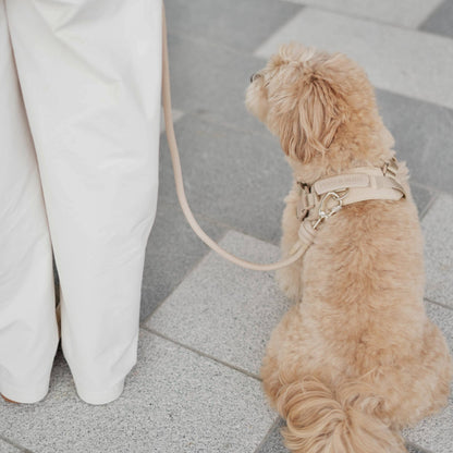 Rover Harness | Ultra Comfort Fabric: Sand / S