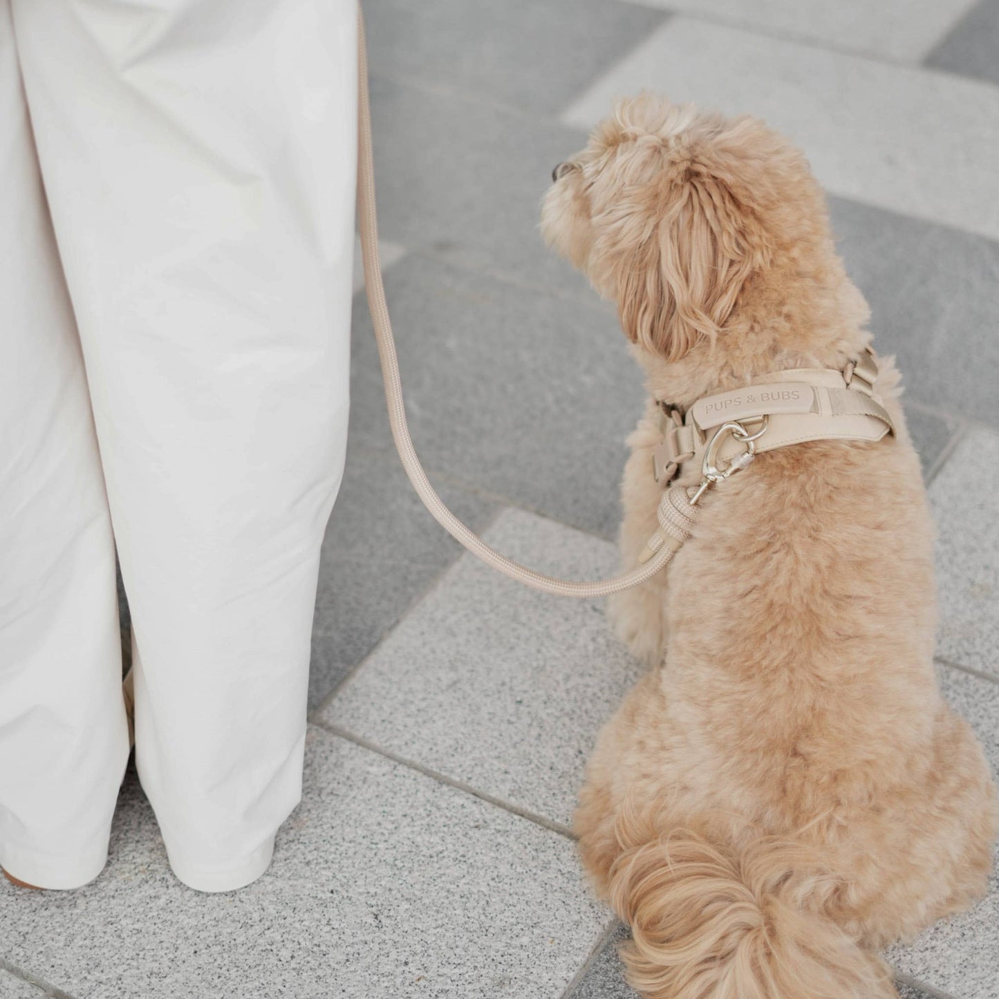Rover Harness | Ultra Comfort Fabric: Sand / M