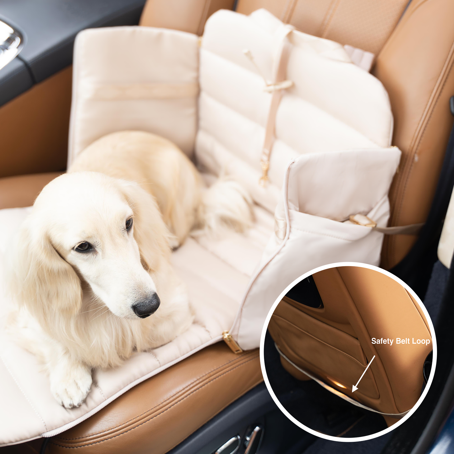 Everywhere Convertible Tote Bag | Dog Carrier | 2 Colors: Sand