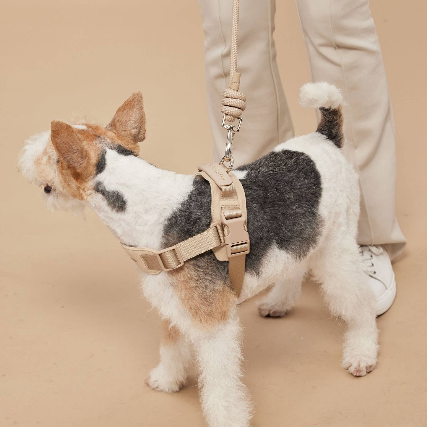 Rover Harness | Ultra Comfort Fabric: Black / S