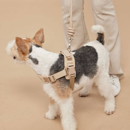 Rover Harness | Ultra Comfort Fabric: Black / S