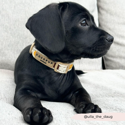 Sunflower Patch Collar: Large