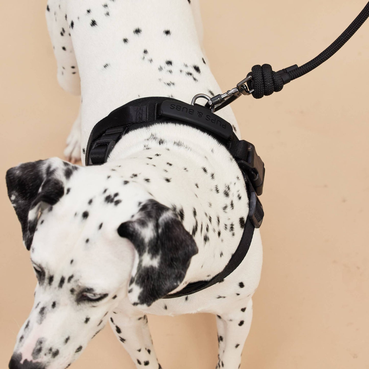 Rover Harness | Ultra Comfort Fabric: Black / S