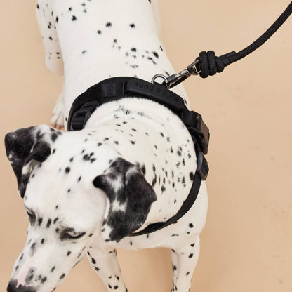 Rover Harness | Ultra Comfort Fabric: Black / S