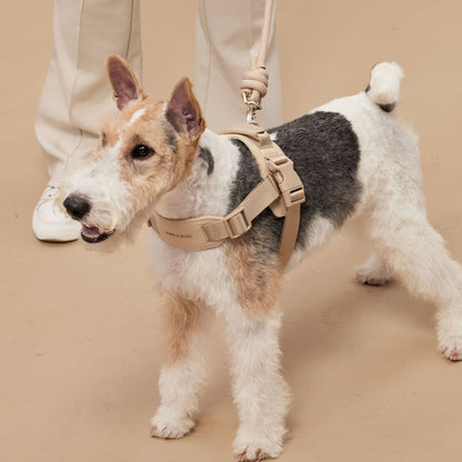 Rover Harness | Ultra Comfort Fabric: Black / S