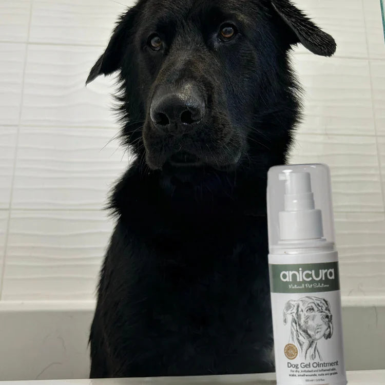 Anicura Dog Gel