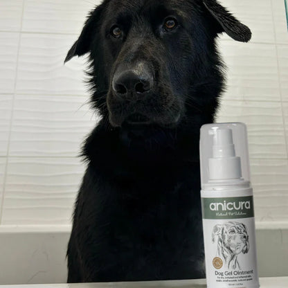 Anicura Dog Gel