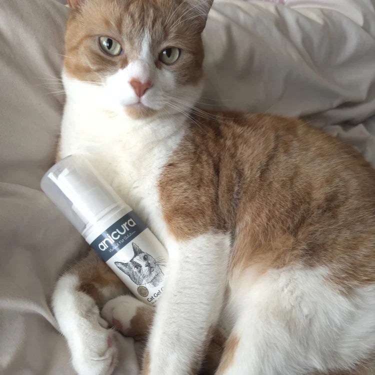 Anicura Cat Gel